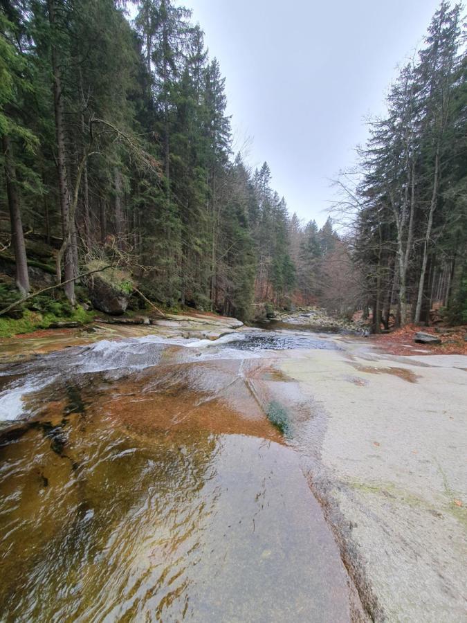 Horska Vyhlidka Appartement Tanvald Buitenkant foto